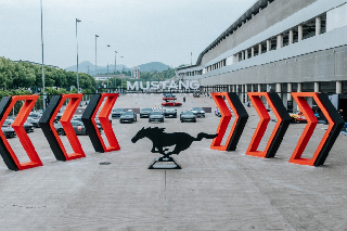  Ϊ 2025Mustangѧ