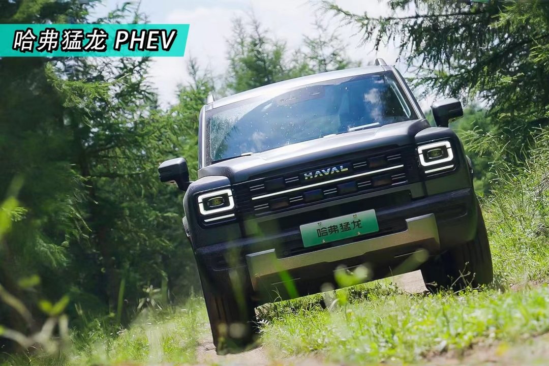 һһֻ2026  PHEV ʽ