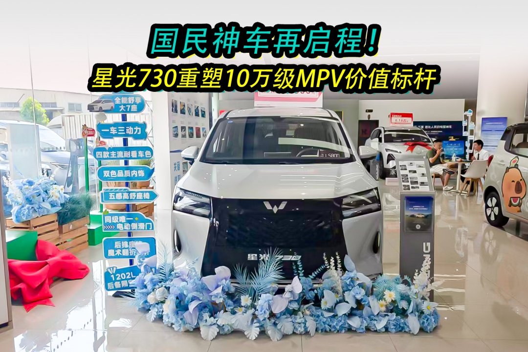 ̣ǹ73010MPVֵ-Ƶ